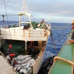 fisheries_counting stock