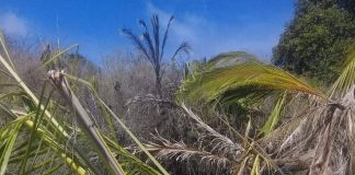 Fiji affirms commitment to building resilient infrastructure