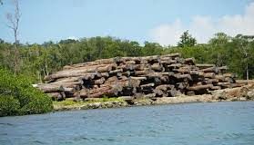 New forest portal to shine a light on PNG’s logging industry