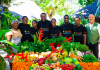 The Pacific food revolution will be televised PacificIslandFoodRevolution