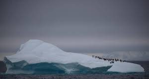 Pacific islanders likely found Antarctica first: study