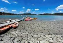 ‘The next pandemic’: drought is a hidden global crisis, UN says