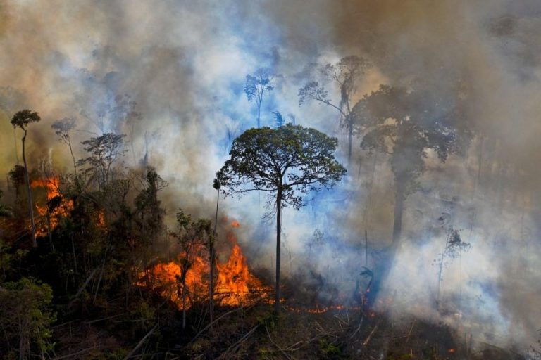 Legal definition of ‘ecocide’ a new milestone in efforts to criminalise environmental mass destruction