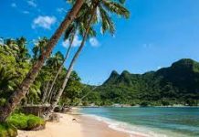 Restoring nature ‘the test of our generation’: UN General Assembly President