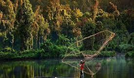 UN launches Decade on Ecosystem Restoration to counter ‘triple environmental emergency’