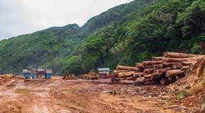 ‘They failed us’: how mining and logging devastated a Pacific island in a decade