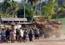 The $3bn bargain: how China dominates Pacific mining, logging and fishing