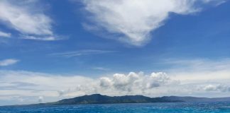 End war on nature and ensure ocean health, UN chief says in message for World Oceans Day Oceans