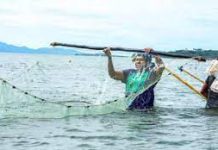 How do we stop the plunder of the Pacific? A panel of experts give their solutions