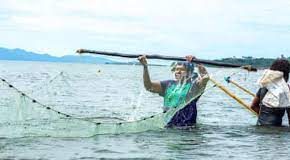 How do we stop the plunder of the Pacific? A panel of experts give their solutions