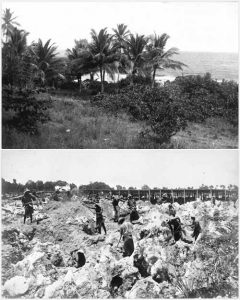 Before and After mining photo of Banaba Island  Photo: Te Ara NZ