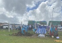 Fiji records 1,043 positive cases of COVID-19 and 13 deaths reported