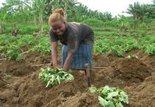 Sustainable development report shows devastating impact of COVID, ahead of ‘critical’ new phase