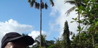 Fijian Government announces $200m unemployment income support, unveils US$1.78 billion Covid-19 budget