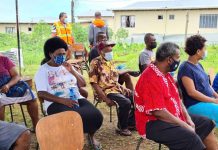 Countries urged to develop pandemic preparedness and response treaty: WHO