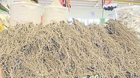Commercial export of kava begins 2022