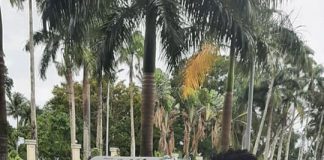 Fiji records 791 new COVID-19 cases ; three deaths reported