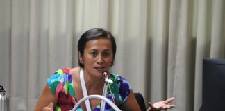 Countries struggle to meet loan repayments: PANG