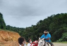 Fiji rejects lockdown calls as virus cases soar