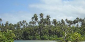 New project scales up early warning systems in the Pacific