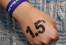 Pacific leaders join forces ahead of landmark climate summit