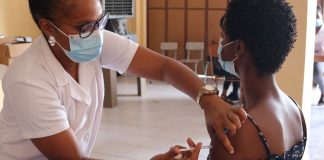 Coming months critical for future pandemic preparedness: WHO chief