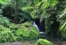 UN Secretary-General calls for bold action to end biodiversity crisis