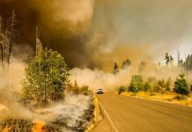 IPCC report: ‘Code red’ for human driven global heating, warns UN chief