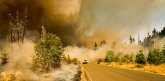 IPCC report: ‘Code red’ for human driven global heating, warns UN chief