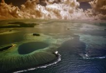 PCCC launch innovative logo design competition for Pacific Artists!