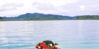Bring COP to the Pacific: climate activist
