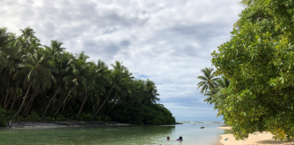 Marshall Islands leads the Pacific island region in updating its State of Environment report