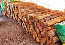 Unexploded Ordnance is an ‘ugly legacy’ of WWII: Solomon Islands PM