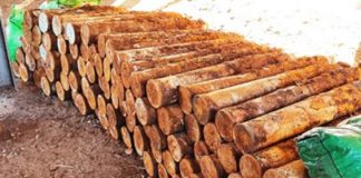 Unexploded Ordnance is an ‘ugly legacy’ of WWII: Solomon Islands PM