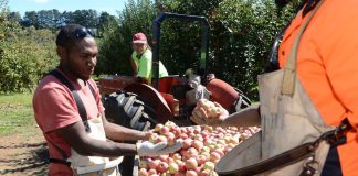 Vanuatu to trial in-country quarantine for seasonal workers