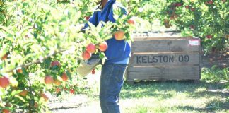 Open borders for seasonal workers welcomed, but Solomon Islands wants in too