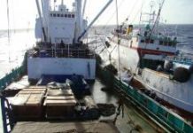 High Seas Tuna Transshipment -What it is and why it should be reformed