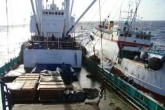 High Seas Tuna Transshipment -What it is and why it should be reformed