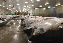 U.S blocks seafood from Fiji ship accused of enslaving crew