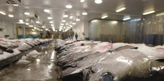 U.S blocks seafood from Fiji ship accused of enslaving crew