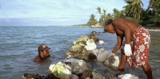 Irreversible human-caused climate crisis threatens Pacific Island nations