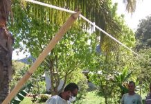 Fiji records 156 new cases of COVID-19