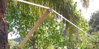 Fiji records 156 new cases of COVID-19