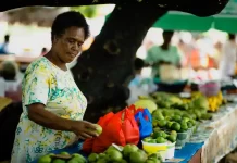 Pacific nations face ‘lost decade’ due to economic cost of Covid