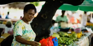 Pacific nations face ‘lost decade’ due to economic cost of Covid