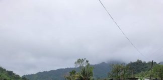 Fiji records 52 new cases of COVID-19, two new deaths reported