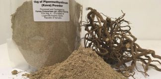Australia under pressure to allow commercial kava import