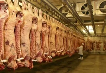 Pacific island meat workers on $9 per hour after wage deductions