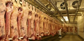 Pacific island meat workers on $9 per hour after wage deductions