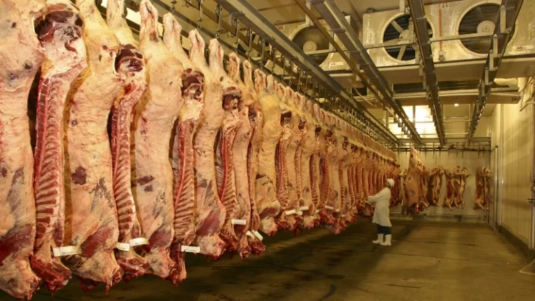 Pacific island meat workers on $9 per hour after wage deductions